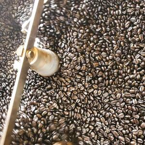 【挽】浅煎＆中煎　100ｇ×10袋　北海道旭川焙煎　ワイズコーヒー西神楽焙煎工場直送_02946