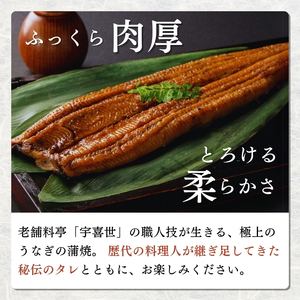うなぎ 国産 蒲焼き 【老舗料亭の味】職人が焼いた うなぎ蒲焼き 150g×3尾 百年料亭 宇喜世名物 鰻 蒲焼き かば焼き タレ 山椒付 湯せん ギフト 贈答 贈り物 丑の日 父の日