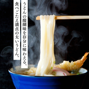 彩翠うどん(乾麺) 5袋 うどん 煮込みうどん 乾麺 新潟県 上越市