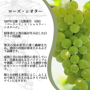 ワイン 岩の原ワイン 世界ワインコンクール金賞 希少ぶどう品種 ローズ・シオター お酒 岩の原 希少 善兵衛 プレミアム 新潟 上越
