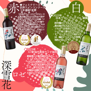 ワイン 岩の原ワイン ハーフサイズ 6本セット（ 赤×2本、白×2本、ロゼ×2本 各360ml） 酒 ギフト 新潟 上越 最短3日で発送