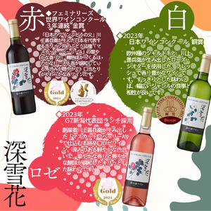 ワイン 岩の原ワイン ハーフサイズ 12本セット（ 赤×4本、白×4本、ロゼ×4本 各360ml） 酒 ギフト 新潟 上越 最短3日で発送
