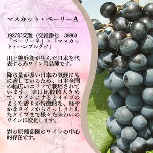 ワイン 岩の原スパークリングワイン ロゼ 瓶内二次発酵 1本 （750ml） お酒 岩の原 酒 新潟 上越 最短3日で発送