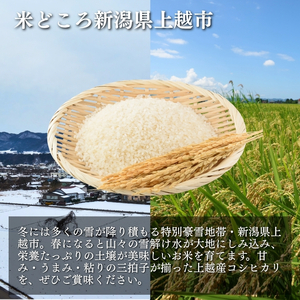 令和7年産 新潟県上越産 米物語 コシヒカリ 定期便 5kg 全6回 計30kg【6ヶ月連続お届け】 こしひかり 上越市