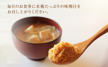 味噌 毎日使いにぴったりの越後みそ セット 900g 米味噌 4袋 あおき味噌 みそ 味噌汁 調味料 送料無料
