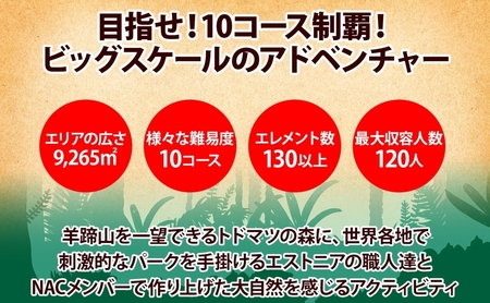 北海道 NAC アドベンチャー パーク 大人 1日券 2枚 アウトドア アクティビティ アトラクション 冒険 ジップライン ペア 体験チケット バンジージャンプ 子供 大人 夏季 冬季 観光 ひらふ ニセコ 野外 アドベンチャーセンター 