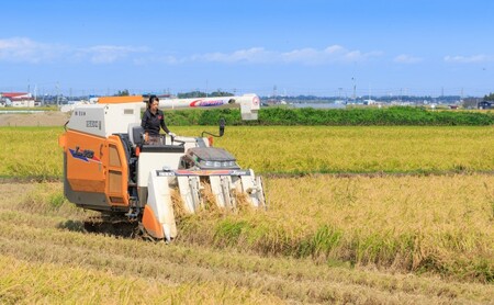 コシヒカリ 【花の米】越後かに米こしひかり 白米 5kg こしひかり 米 お米 こめ 白米 おすすめ ふるさと納税 新潟 新潟県産 にいがた 上越 上越産 かに米