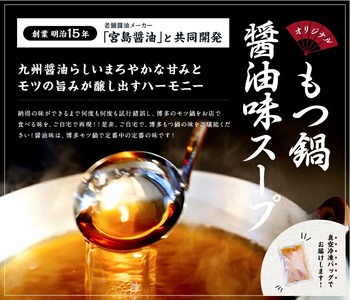 【ふるさと納税】訳あり！博多醤油もつ鍋 10人前セット [a9435] 株式会社Meat Plus ※配送不可：離島【返礼品】添田町 ふるさと納税