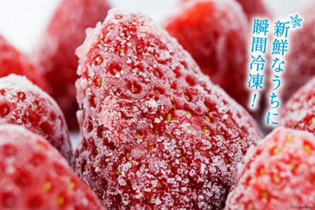 いちご 博多 冷凍あまおう 約500g×2袋 計約1kg [エイチアンドフューチャーズ 福岡県 筑紫野市 21760520]