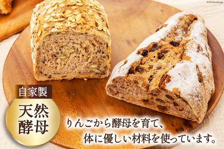 パン 定番パン5種 セット [しぜん酵母と石窯ぱん bungaーぶんがー 長野県 池田町 48110556]