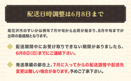 尾花沢スイカ 6Lサイズ(約11kg)×1玉 令和8年産 ns-su6xx1