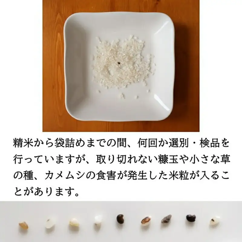 令和8年産・玄米4kg】 特別栽培米 五郎兵衛米 〈2026年10月中旬頃