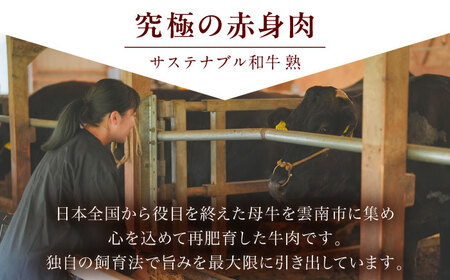 牛肉 サステナブル和牛 熟 鍋守 赤のもつ鍋セット 4-5人前 モツ500g  [AIAT006] 