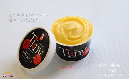 ～完熟マンゴー＆パッション＆ドラゴンetc～徳之島プレミアムジェラート＆ソルベ ( アイス スイーツ お菓子 冷凍 マンゴー ラムレーズン 塩 たんかん パッションフルーツ ドラゴンフルーツ 果物 フルーツ 徳之島 鹿児島 )
