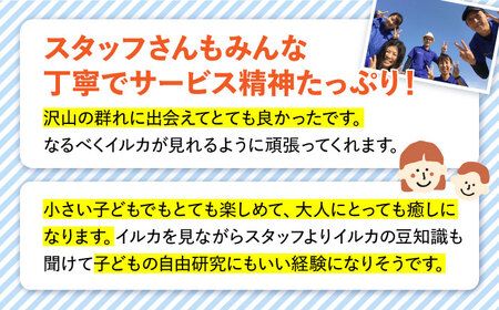 南島原 イルカウォッチング  子ども用 ペアチケット / チケット ちけっと 体験型 観光チケット いるか イルカ イルカ体験 貸し切り いるか イルカ / 南島原市 / 南島原イルカウォッチング [SAE004]