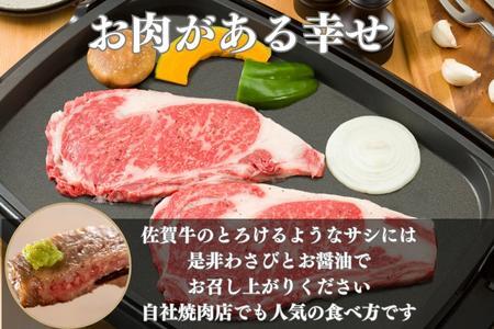 《A5～A4等級》 佐賀牛 ロースステーキ(サーロイン・リブロース)  約300g×2枚(合計約600g) 約4人前 全国屈指のブランド牛 牛肉 ステーキ ギフト 黒毛和牛 肉 冷凍 わけあり