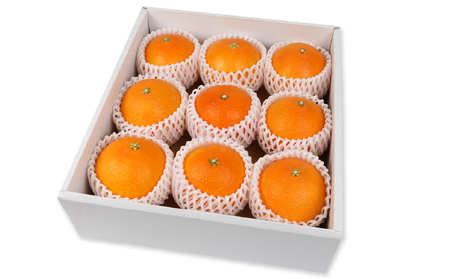 みかん 贈答用 愛果28号 2 ~ 3kg 化粧箱入 矢野青果 柑橘 蜜柑 mikan 高級 ブランド 限定 人気 品種 甘い ゼリー プルプル 果物 くだもの フルーツ 人気のみかん 美味しいみかん 濃厚 贈答品 数量限定 産地直送 先行予約 国産 愛媛 宇和島 B012-171004