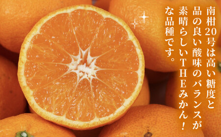 【温州】 南柑20号 2 ~ 3kg 矢野青果 温州 B012-171006