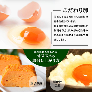 中村農場　お楽しみたまご６パックセット 卵 10個入り 6パック セット おまかせ卵 3～4種類 食べ比べ おまかせセット 中村農場 山梨県 北杜市 [h024]