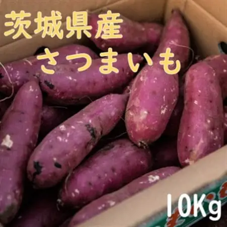 【茨城県産】生さつまいも 紅はるか 10Kg_野菜 さつまいも いも サツマイモ 薩摩芋_【1437617】
