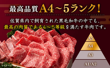 佐賀牛 焼肉用 400g 厳選部位 / 牛肉 [IAX033]