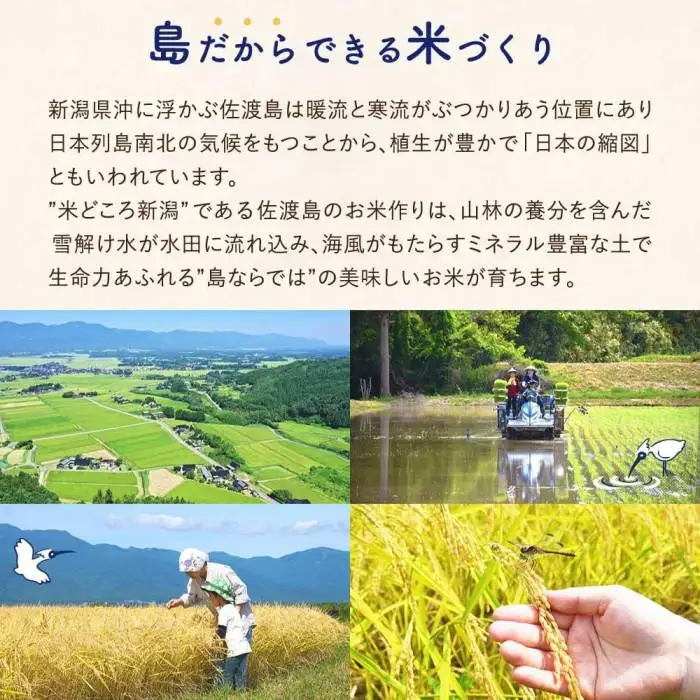佐渡島産ミルキークイーン 白米10kg(5kg×2袋) 令和7年産 特別栽培米
