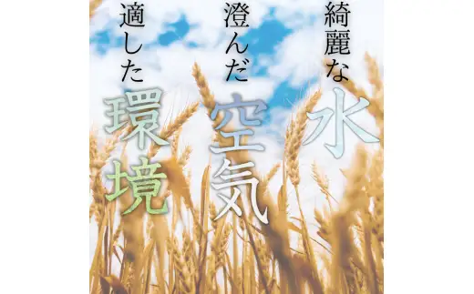 和歌山県産 キヌヒカリ 10kg(2025年産)  産地直送 米 こめ ご飯 ごはん  【sml912D】