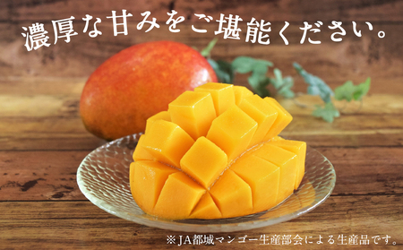 【先行受付!】宮崎県産完熟マンゴー 太陽のタマゴ【2L×3玉】化粧箱入り≪2026年5月中旬以降順次お届け≫_AF-0116