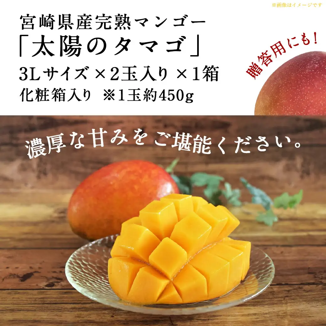 【先行受付!】宮崎県産完熟マンゴー 太陽のタマゴ【3L×2玉】化粧箱入り≪2026年5月中旬以降順次お届け≫_AF-0115