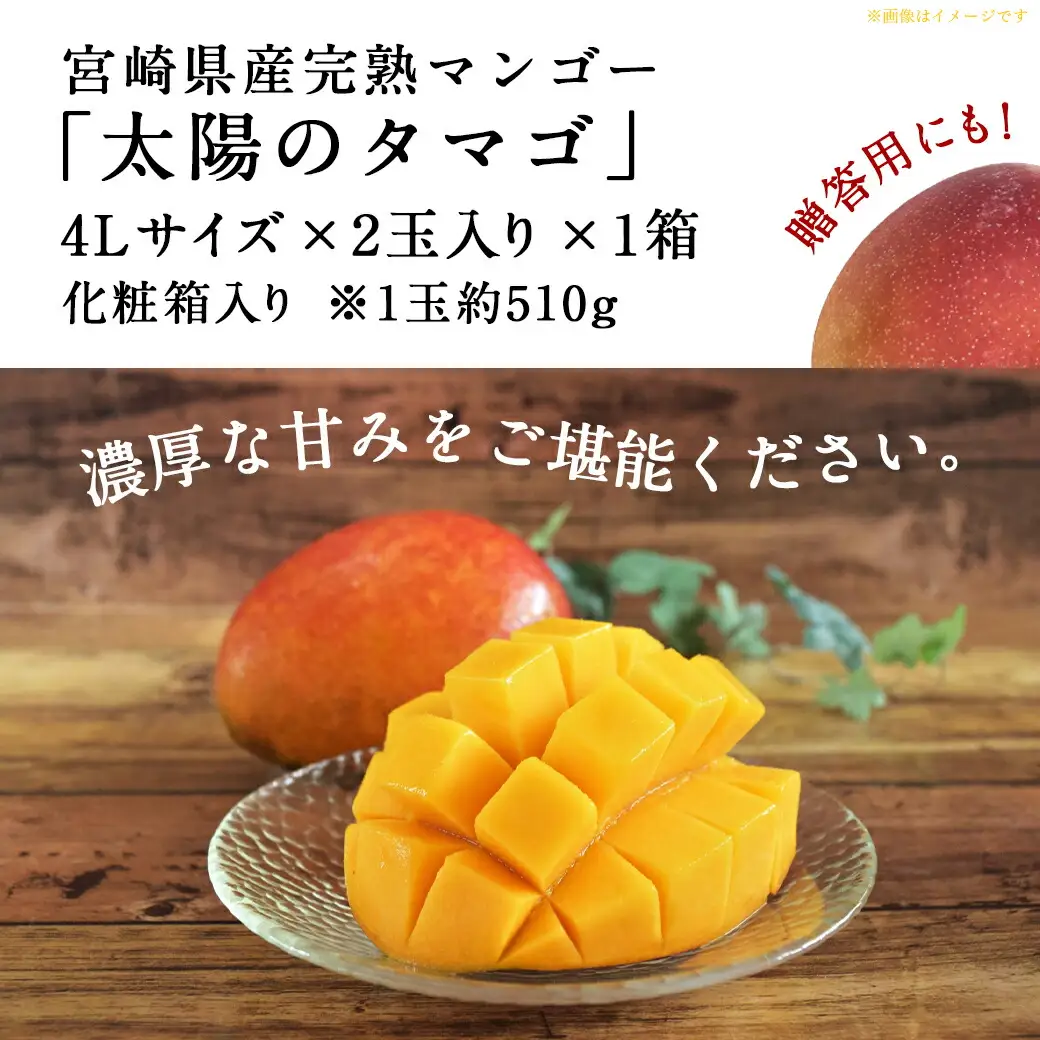 【先行受付!】宮崎県産完熟マンゴー 太陽のタマゴ【4L×2玉】化粧箱入り≪2026年5月中旬以降順次お届け≫〔41-0101〕_(都城市) 宮崎県産 太陽のタマゴ 化粧箱入 4L 2玉 1箱 15度以上
