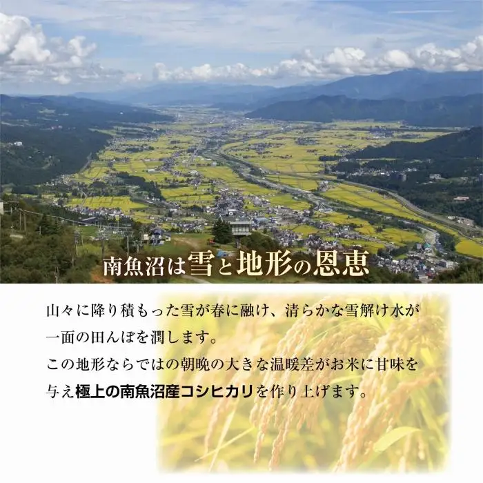 ｜定期便｜ 新潟県 南魚沼産 コシヒカリ 【従来品種】塩沢地区 お米 5kg × 12回 毎月発送 精米済み（お米の美味しい炊き方ガイド付き）【定期便 銘柄米 ブランド米 精米 こしひかり コシヒカリ 魚沼産 新潟米 産地直送 ごはん】