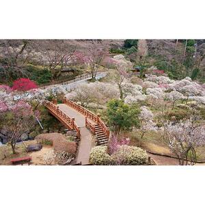 熱海温泉宿泊補助券（20,000円）