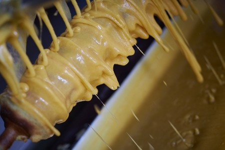玄米ハードバーム [お菓子 スイーツ 焼き菓子 バウムクーヘン] おやつ お茶菓子 発酵バターの風味 サクサク もっちり 