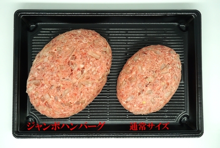 （冷凍） 牛壱 国産牛100％ ジャンボハンバーグ 5個 （300g×5個） ／ 歩商事 自家製タレ 贈答用 ギフト 煮込み 奈良県 田原本町