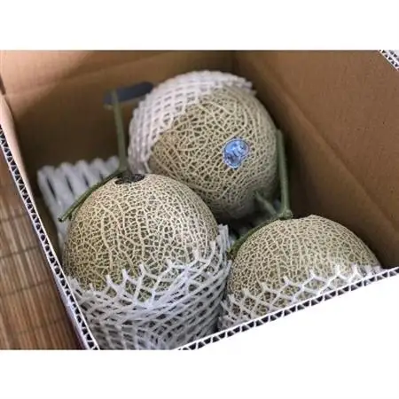 木曽岬産メロン「ラブコール」3～4玉セット　令和8年7月5日より発送【1259101】