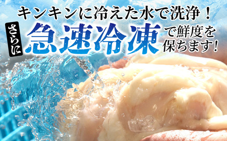 大野市の老舗焼肉店 六間星山の「国産マルチョウ300g 味付け つけダレ付」（冷凍）