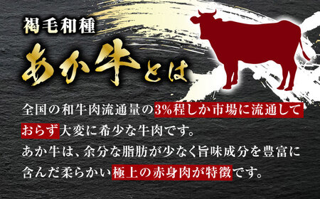 【全6回定期便】熊本県産 あか牛 あか牛丼セット もも肉 200g たれ付き【有限会社 三協畜産】 国産 赤身 赤牛 褐牛 あかうし [ZEB072]