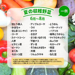 【定期便】道の駅 竜王 かがみの里 旬の野菜セット 全3回