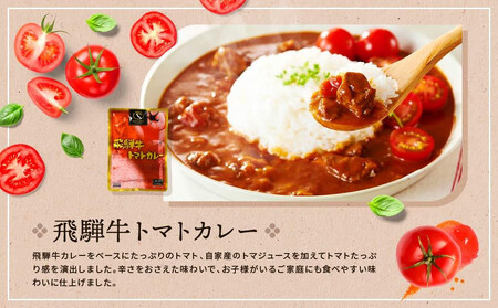 訳あり 飛騨牛レトルト4種20袋  | カレー トマトカレー ビーフシチュー 21 DC001VC13