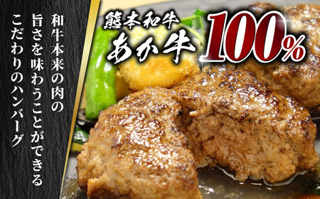 【全12回定期便】あか牛 100％ハンバーグ セット 120g×6個【有限会社 三協畜産】 国産 赤身 赤牛 褐牛 あかうし [ZEB083]