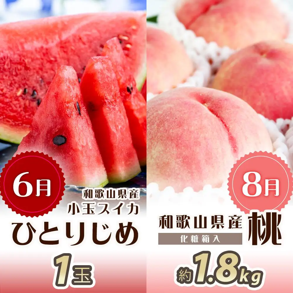 【2・4・6・8・10・12月 偶数月発送 全6回】和歌山産 旬のフルーツ お楽しみ 定期便 【魚鶴商店】【UT113】