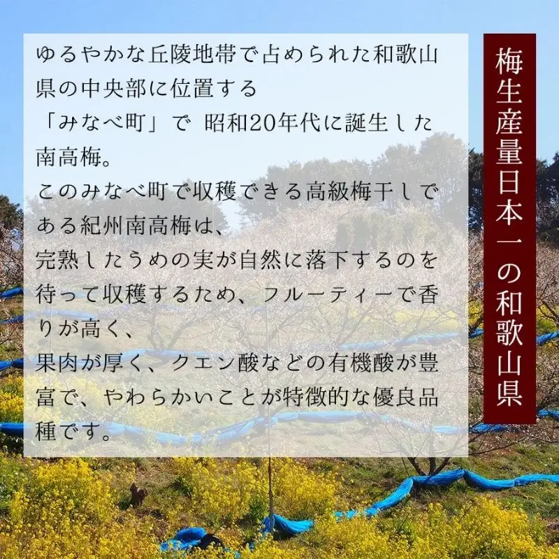 紀州五代梅の心　10粒　azmn008B【azmn008B】