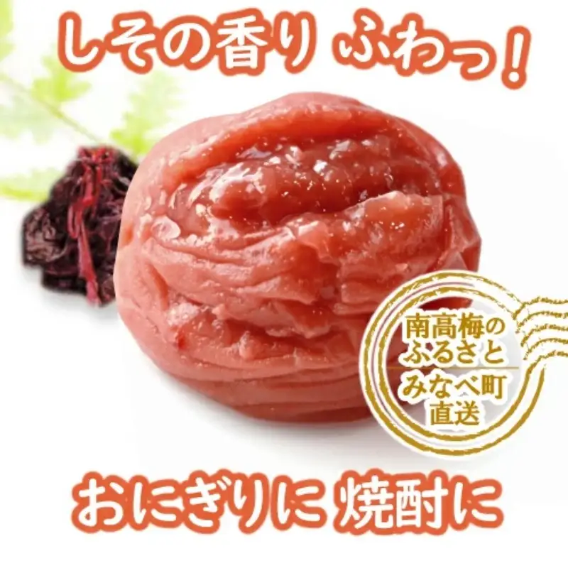 特選A級 紀州南高梅 しそ漬800g 千年の知恵 梅干し ブランド梅 和歌山県産 hoso006A【hoso006A】