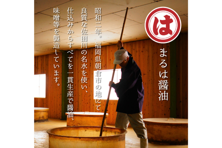 博多もつ鍋 セット (九州醤油仕立て) 2～3人前 [ベネフィス 福岡県 筑紫野市 21761406]