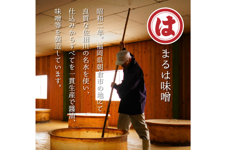 博多もつ鍋 セット (九州味噌仕立て) 2～3人前 [ベネフィス 福岡県 筑紫野市 21761405]
