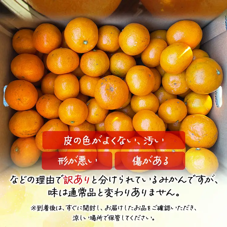 【2026年11月中旬より順次配送】山北みかん 10kg 訳あり みかん th-0027