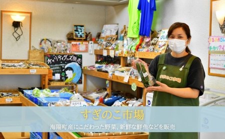 南阿波よりお届け！海の恵み「干物セット」約6～7品 干物 詰め合わせ 約8品 干物セット 父の日 アジ あじ じゃこ ちりめん