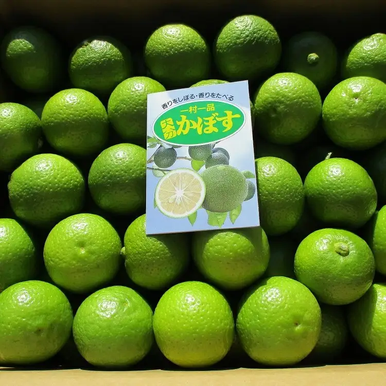 0B1-17 種なしカボス2kg(サイズ混合)