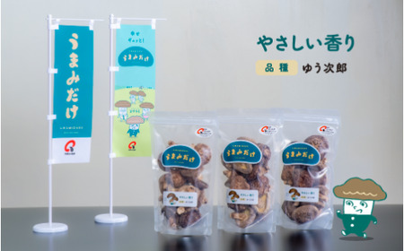 乾しシイタケ(80g×3袋)品種：ゆう次郎【大分県新ブランドうまみだけ】 | 豊後高田市 しいたけ