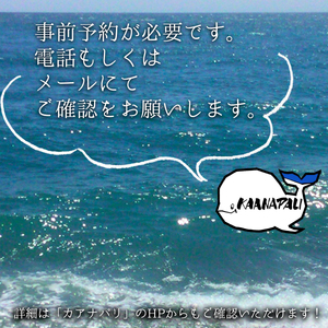SUPボードレンタル（１枚１日貸出）　